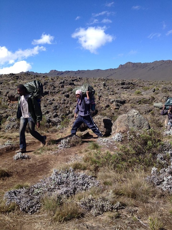 kilimanjaro tour and trekking companies