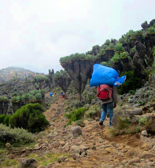 A Kilimanjaro porter making his way via the Lemosho route